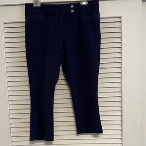 Alfani Navy Capris